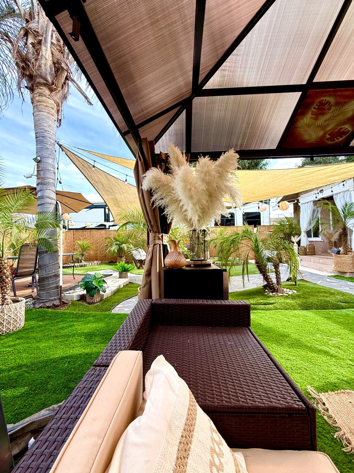 View from the cabana lounger across the palm-filled yard